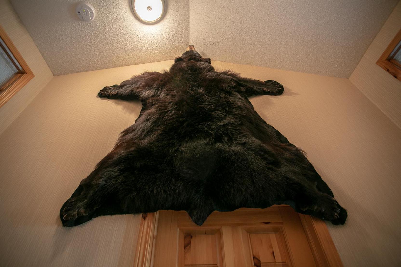 Banff Wood Lodge Canmore Kültér fotó